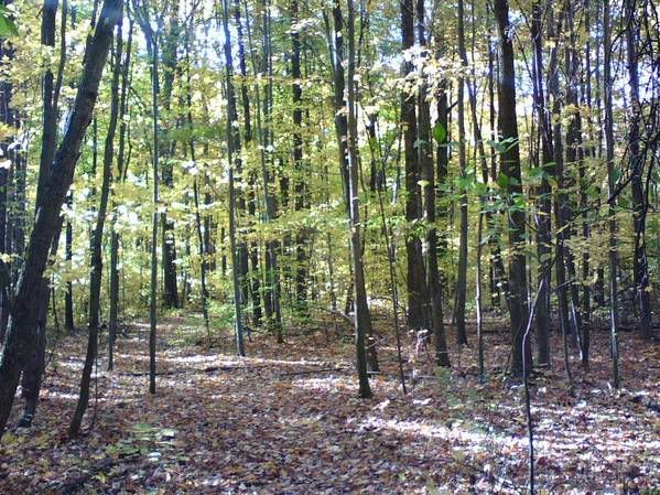 central_ohio_fall_2007.jpg