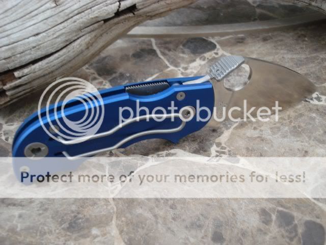 DSC03328.jpg
