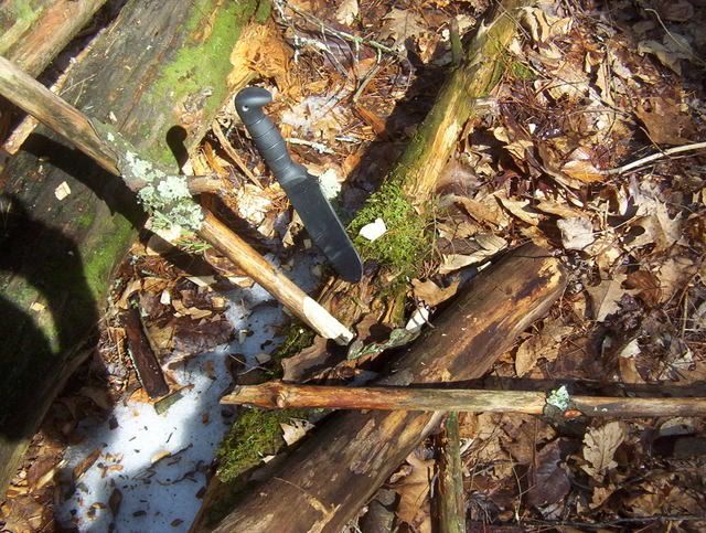 100_0267.jpg