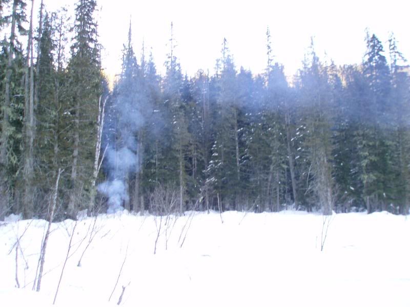 begbiewalk012.jpg