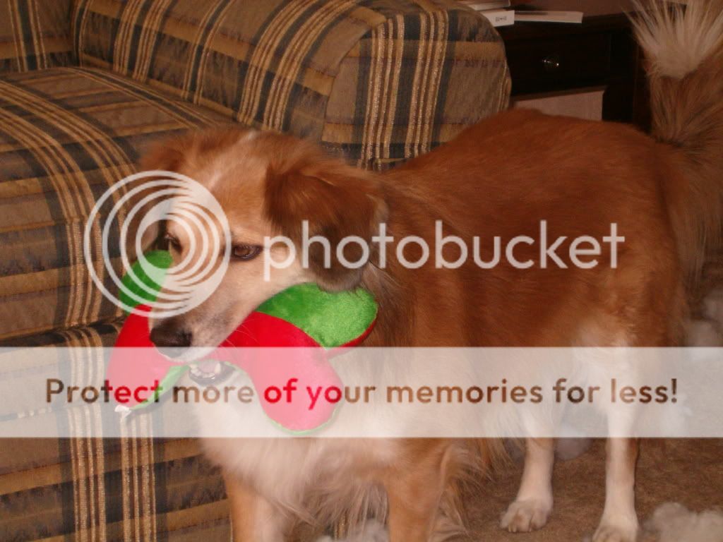 07xmas210.jpg