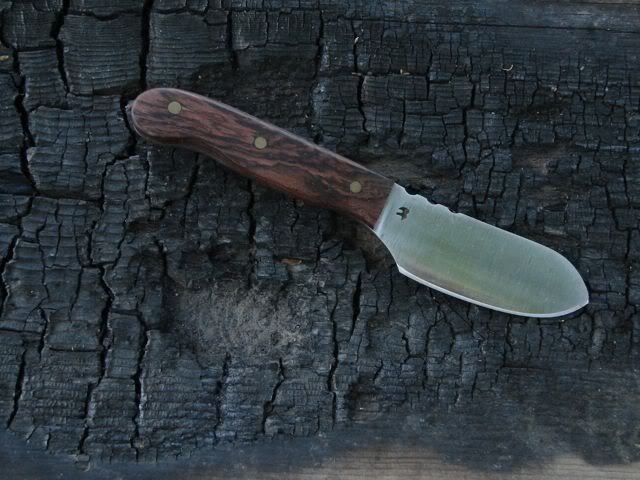 baever1-1.jpg