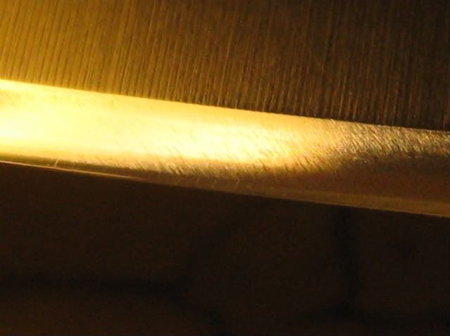 Picture310.jpg