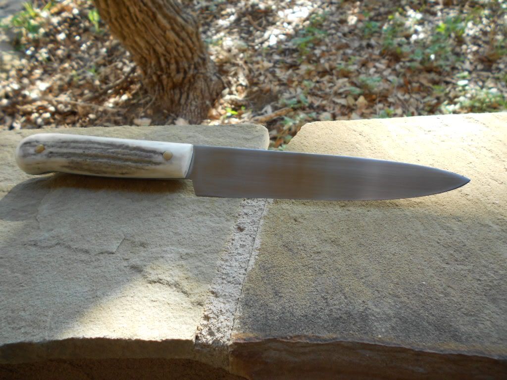 stagchef013.jpg