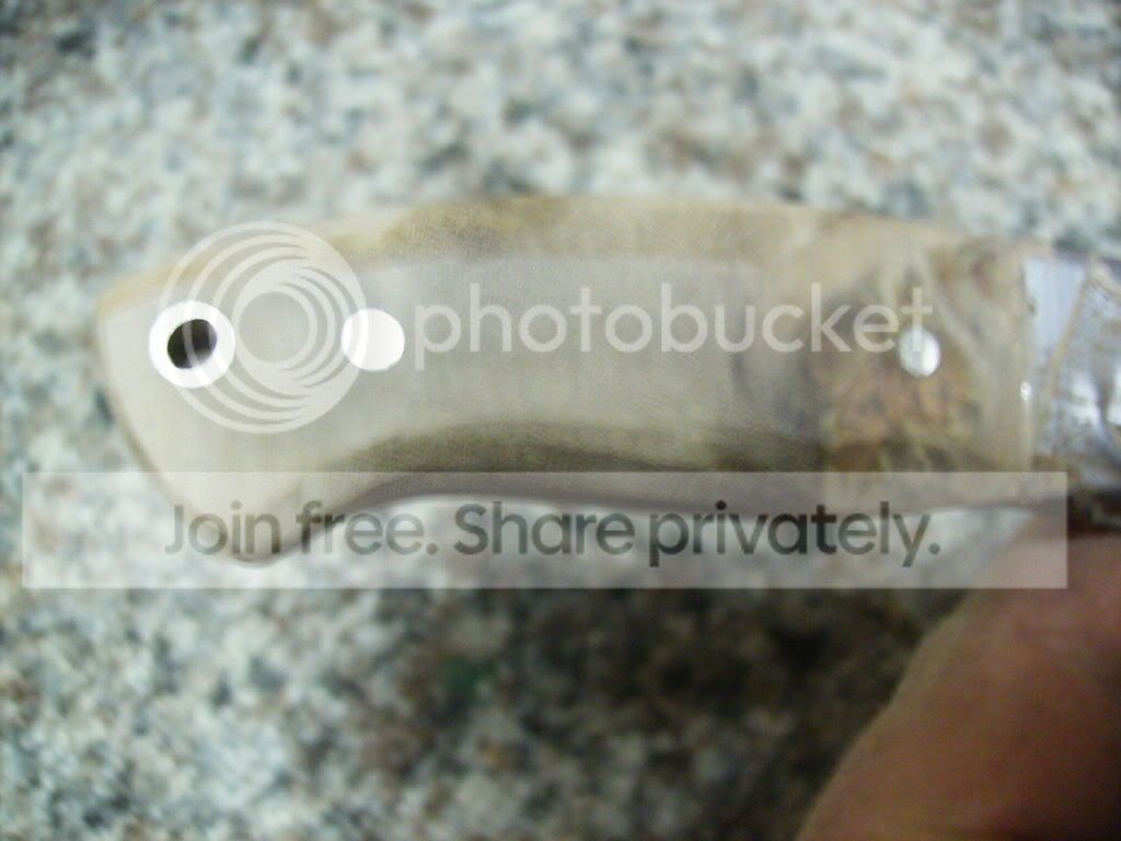 HPIM0581.jpg