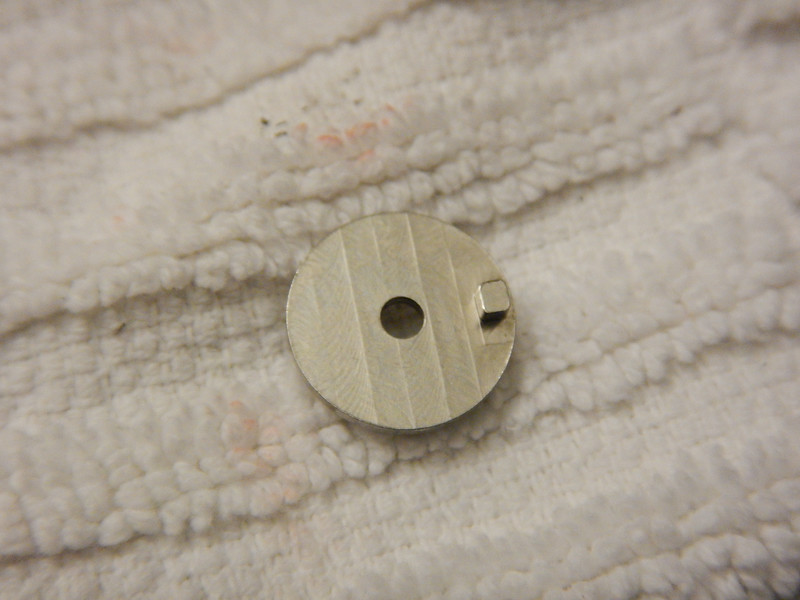 DSCN0317-L.jpg