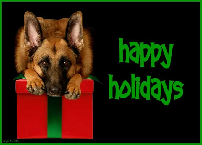 GSD_Christmas_2007_2.jpg