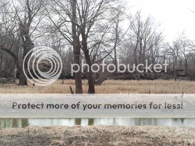 2012-03-17134415.jpg