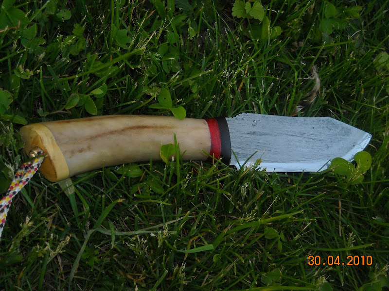 Picture%20096.jpg