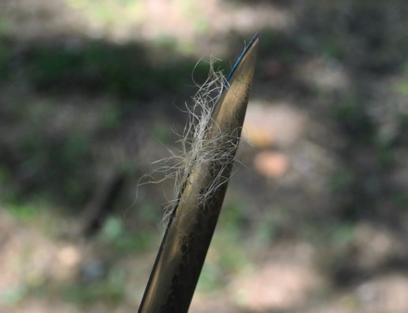 DSC_2145.jpg