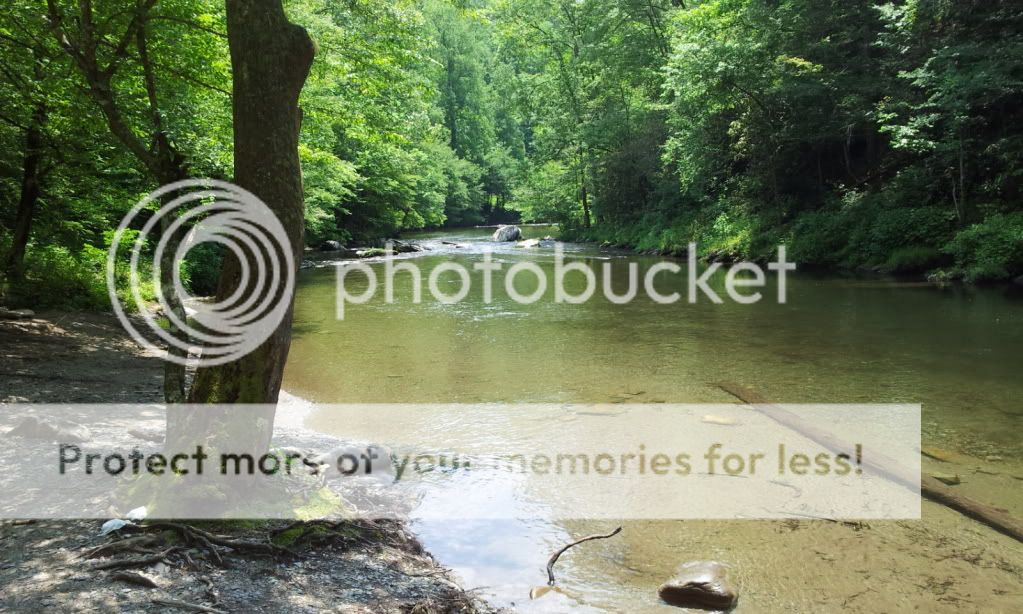 2012-05-25134620.jpg