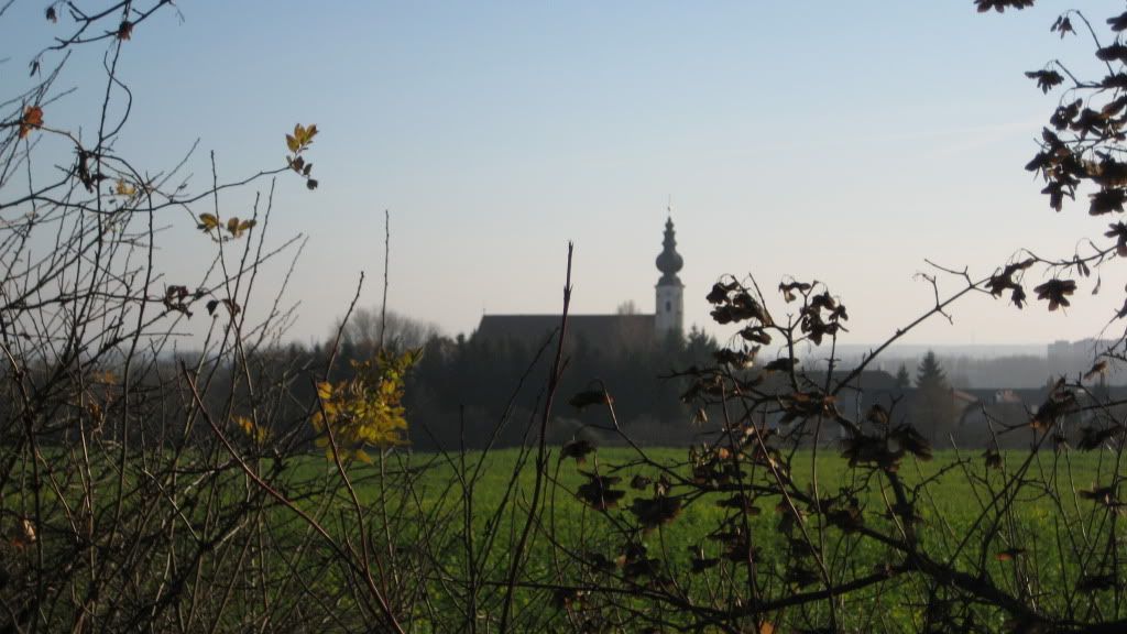IMG_2345.jpg