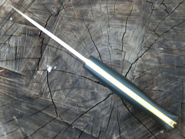 DSCN1704.jpg