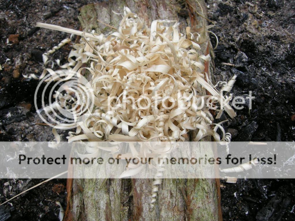 FireContest090.jpg