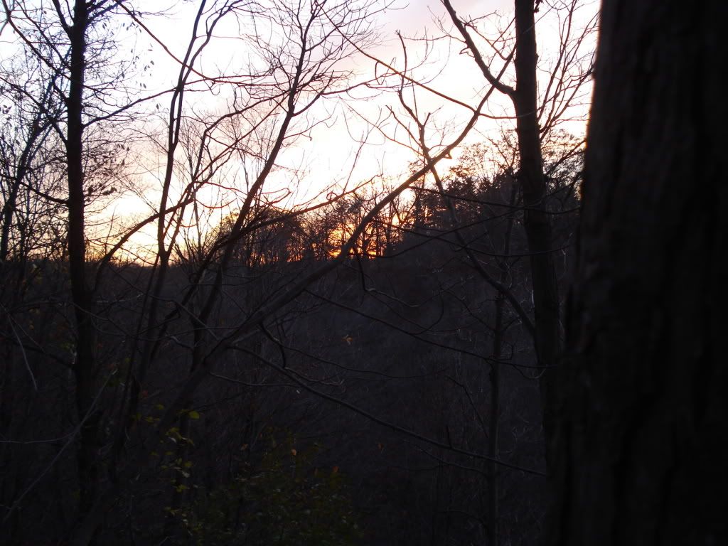 Sunset.jpg