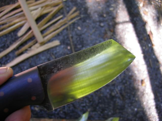 camping010.jpg