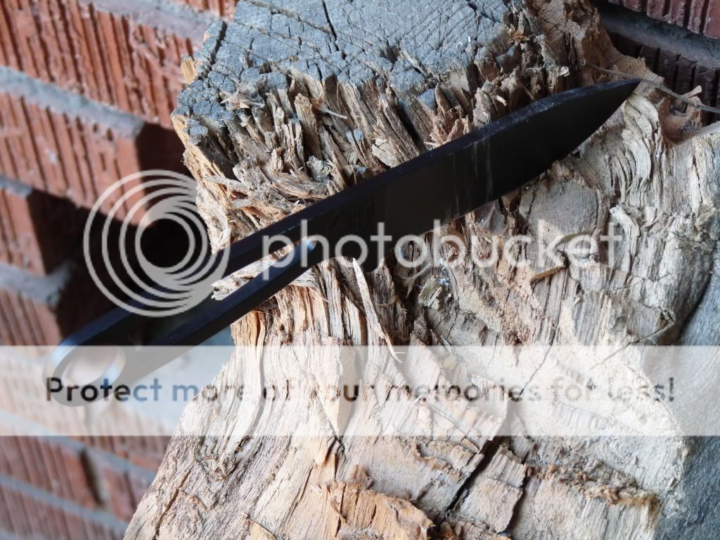 beckerbatoning9.jpg