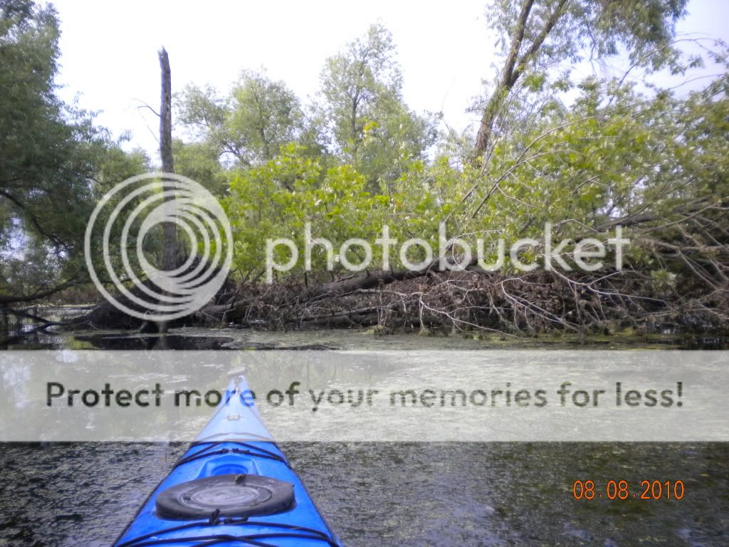 DSCN1283.jpg