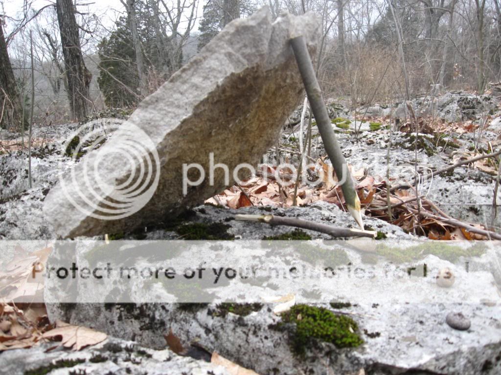 IMG_4676_zpsb1a47196.jpg