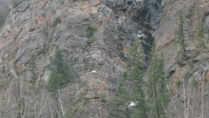 beaver2011027.jpg