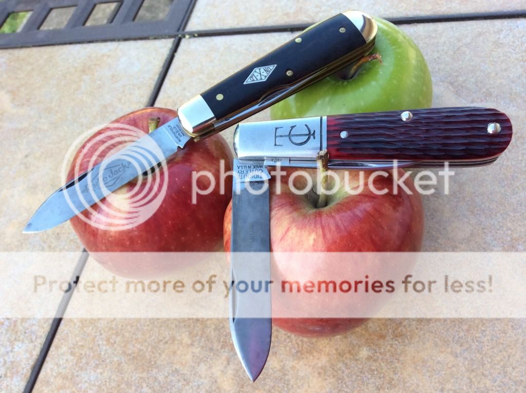 imagejpg5_zps3da705fc.jpg