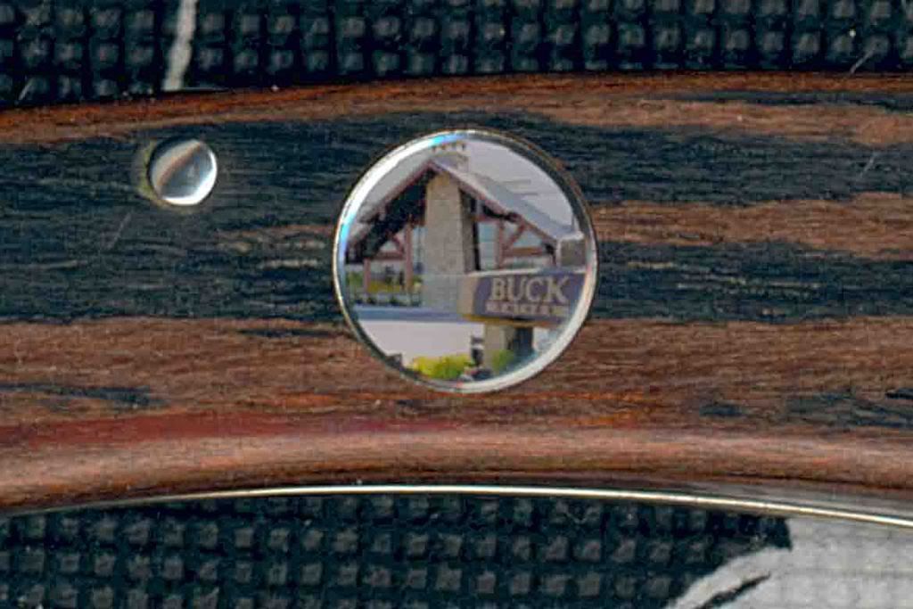 Buck111thelastpictogramm.jpg