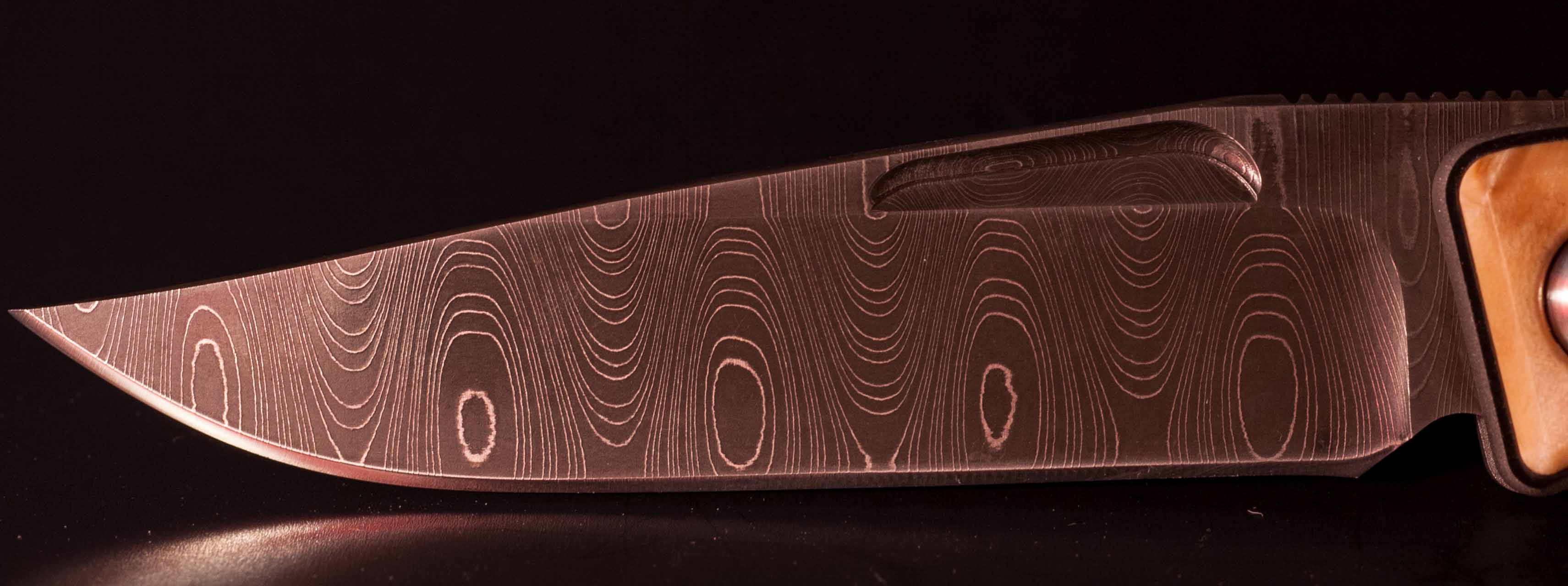 BoxElder02.jpg