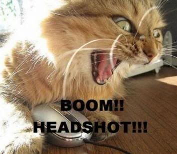 boom_headshot_lolcat.jpg