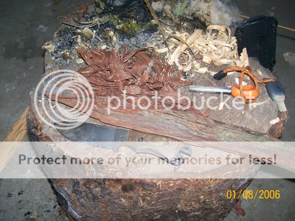 100_3765.jpg