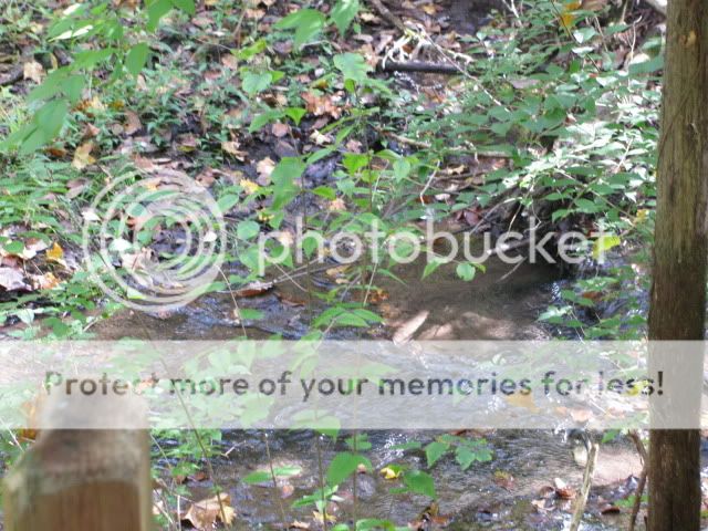 OctoberHike010.jpg