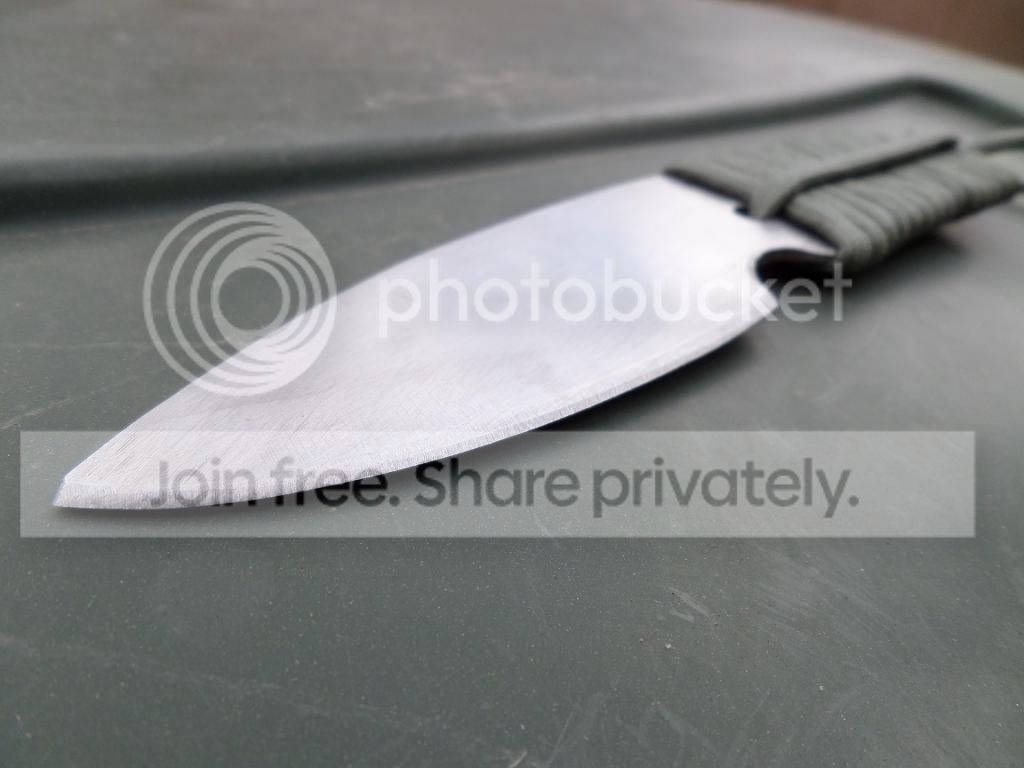 SAM_2075_zpsbe4b70e8.jpg