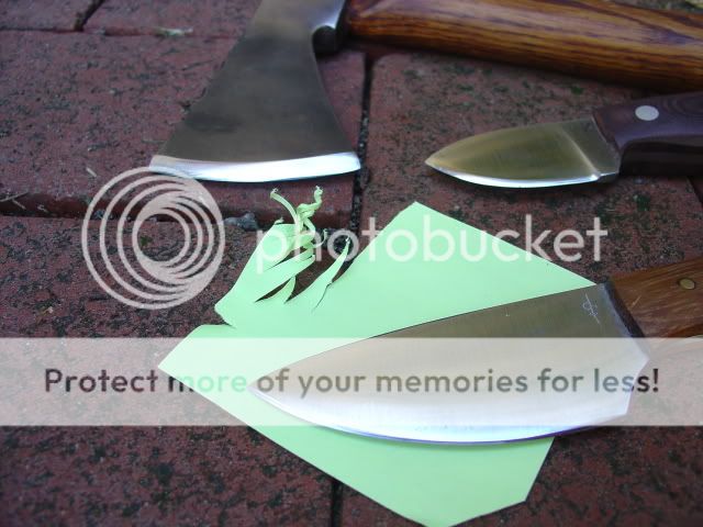 DSC05335.jpg