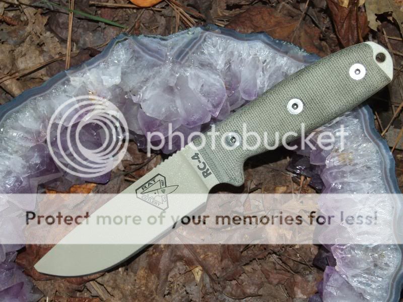 DSCF1386.jpg