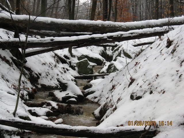 snowdayforthepets044.jpg