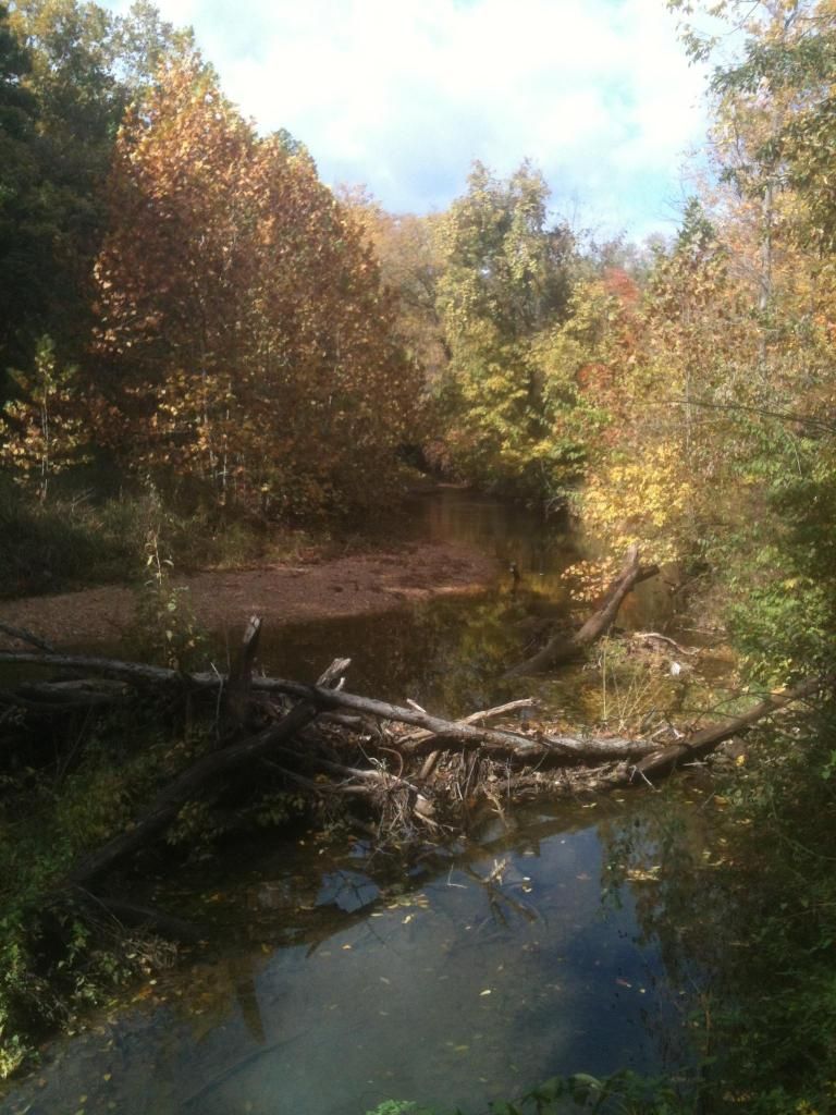 Hike3_zps8d4e34f4.jpg
