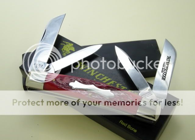 DSCN1726.jpg