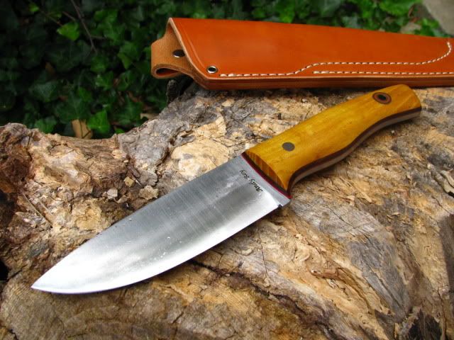 Fiddleback029.jpg