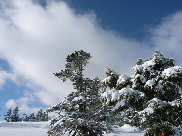 2010.01.26.r0020103.jpg