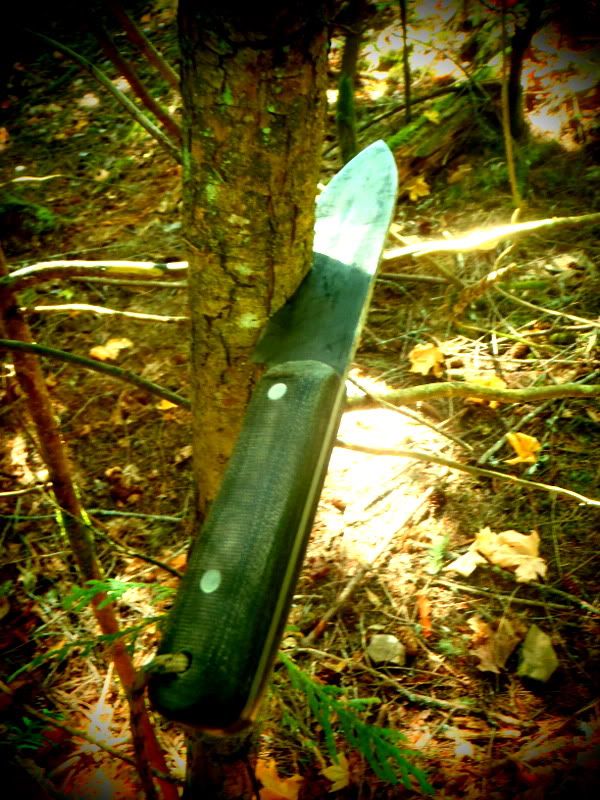 HorthHill2012008.jpg