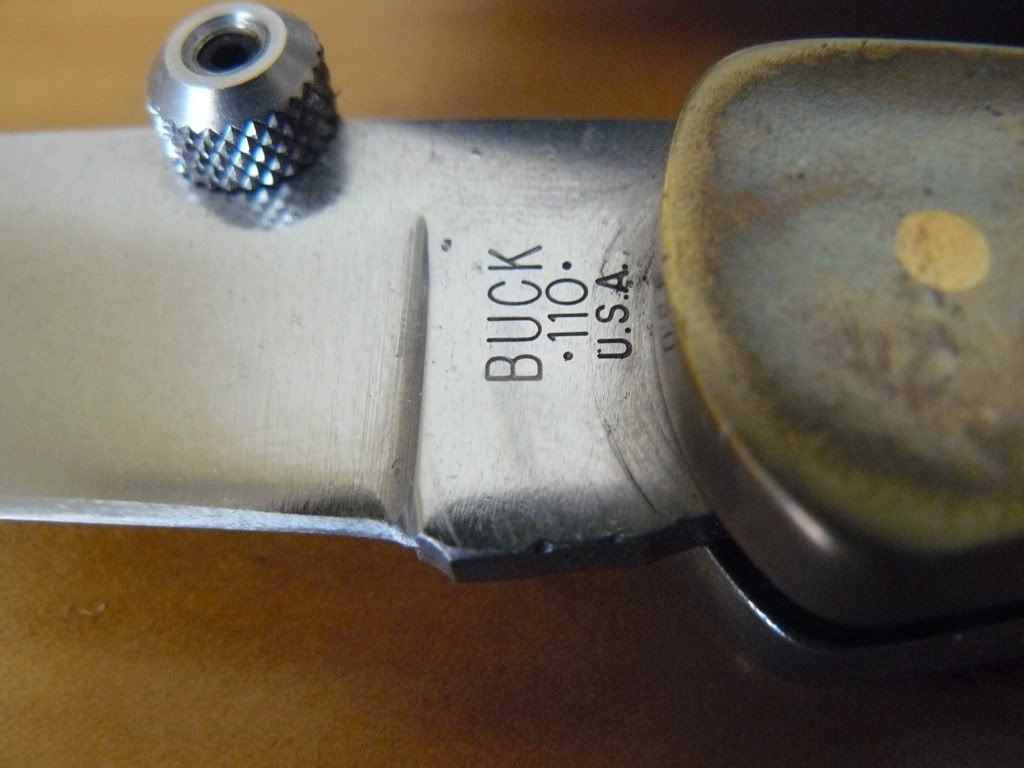 P1050142.jpg