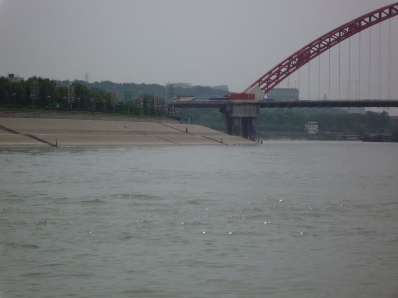 P1060572.jpg