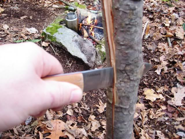 fallhike016.jpg