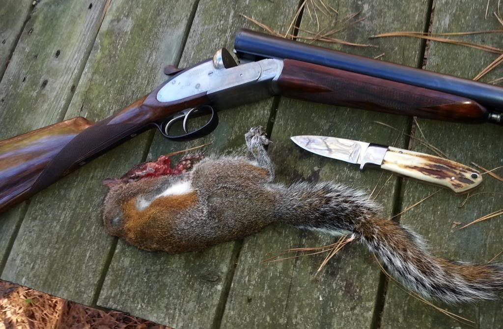 Squirrel14of2013-2014.jpg
