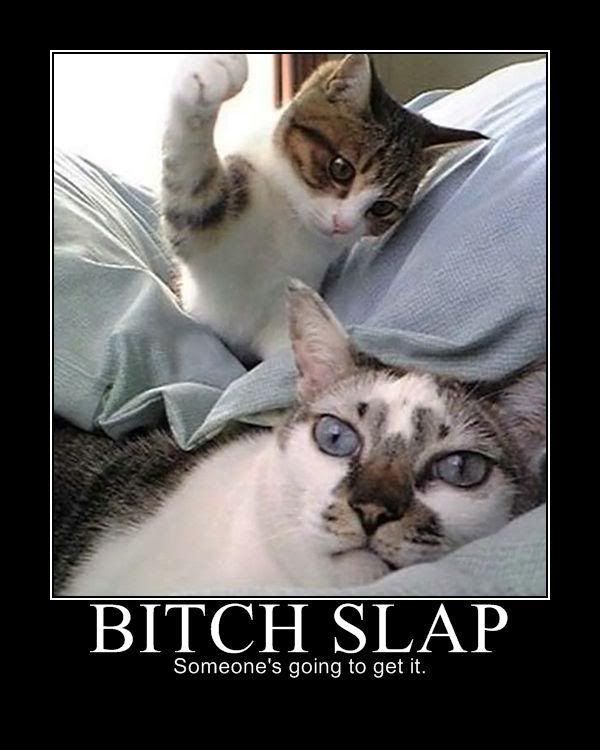 bitchslap.jpg