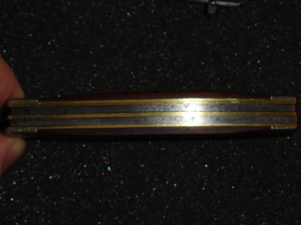 DSC01191.jpg