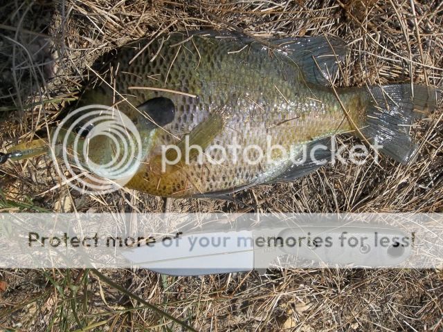100_3031.jpg