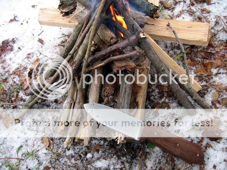 woods2095.jpg
