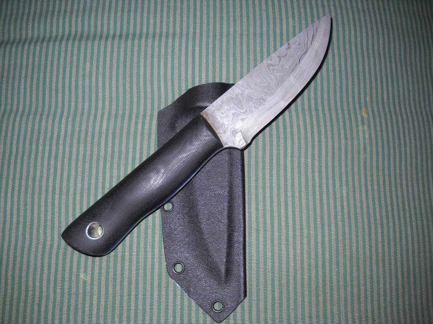 DSCN2095-vi.jpg