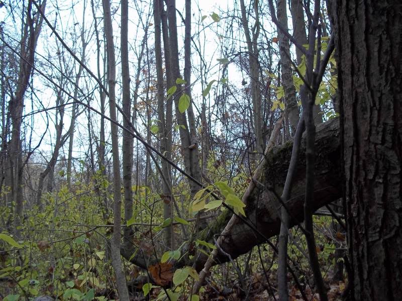 100_1634.jpg