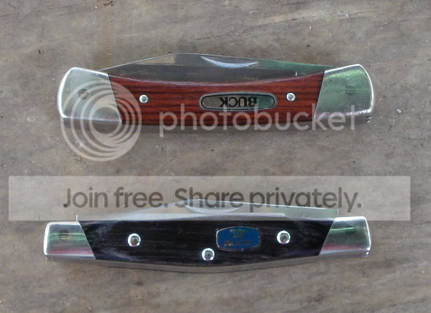 Buck703_303_1.jpg